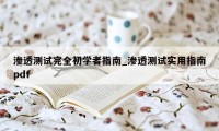 渗透测试完全初学者指南_渗透测试实用指南pdf