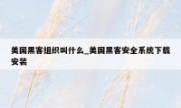 美国黑客组织叫什么_美国黑客安全系统下载安装