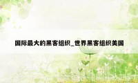 国际最大的黑客组织_世界黑客组织美国