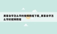 黑客自学怎么学的视频教程下载_黑客自学怎么学的视频教程
