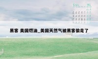 黑客 美国燃油_美国天然气被黑客偷走了